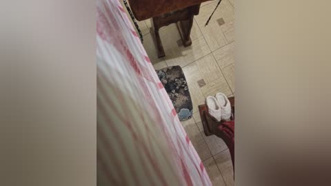 paratutt free recording from 2024-10-22 21:22:00