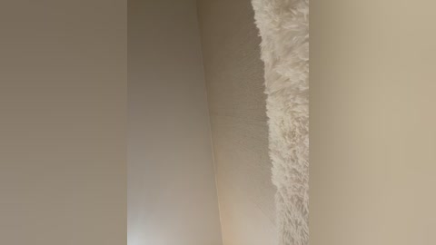 crystal1_1 free recording from 2024-10-23 18:50:00