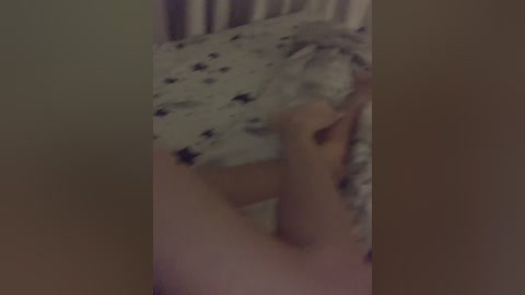 donordi free recording from 2024-10-23 21:10:00