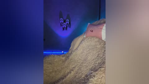 mossipolli free recording from 2024-10-23 22:24:00