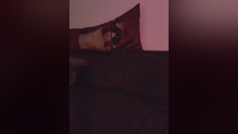 originalhooli free recording from 2024-10-23 00:40:00