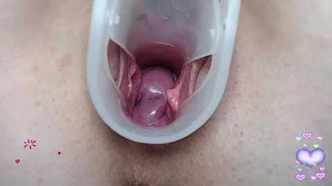 pevicha free recording from 2024-10-23 03:26:00