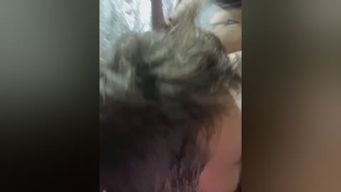 viktoriaastr free recording from 2024-10-23 23:08:00