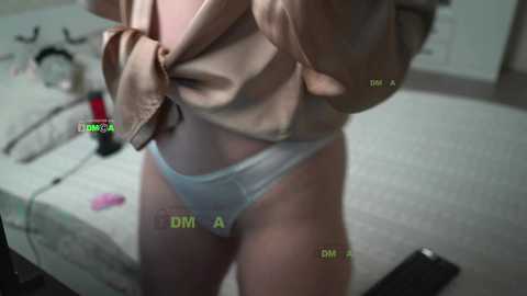 _bunya_ free recording from 2024-10-24 13:12:00