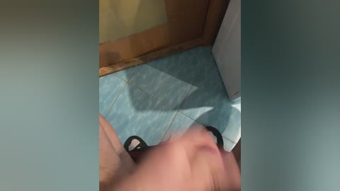 ernieflossy free recording from 2024-10-24 11:28:00