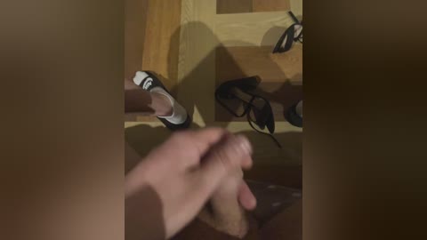 ernieflossy free recording from 2024-10-24 15:11:00