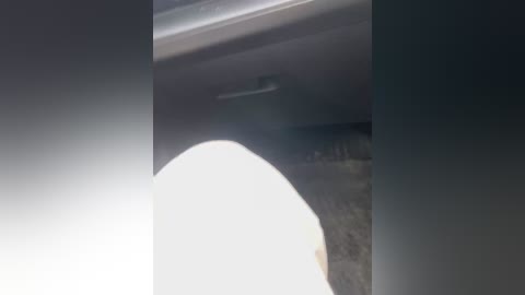 yugovi free recording from 2024-10-24 03:57:00