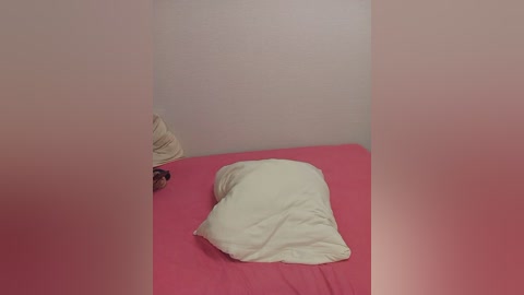 _ameli__ free recording from 2024-10-26 00:44:00