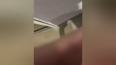 intimens free recording from 2024-10-26 01:51:00