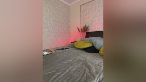 _vaka_ free recording from 2024-10-27 08:02:00