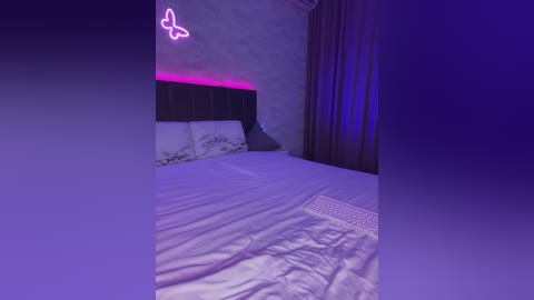 butttfly free recording from 2024-10-27 18:50:00