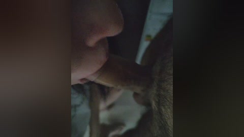 direktor_zooparka free recording from 2026-04-14 02:03:00