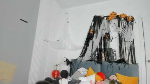 dolly_ll free recording from 