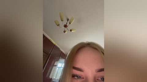 flamingoa free recording from 2024-10-27 13:31:00