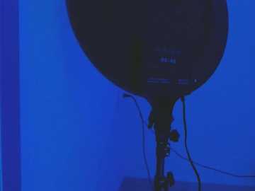 selenaston free recording from 2024-10-27 01:17:00