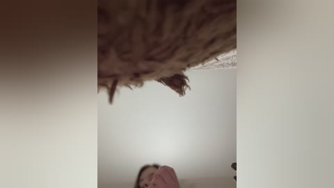 hellmor free recording from 2024-10-28 16:29:00