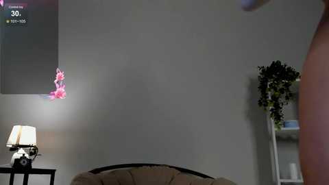 lili_roze free recording from 2024-10-28 02:28:00