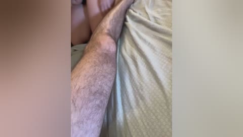 paralaska free recording from 2024-10-28 19:30:00