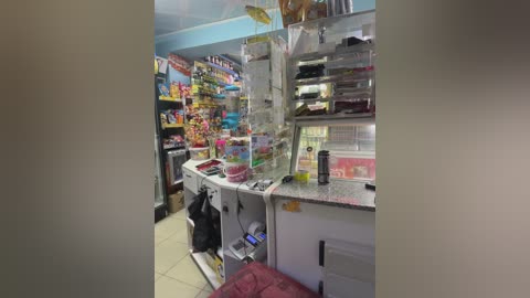 praesertim free recording from 2024-10-28 02:28:00