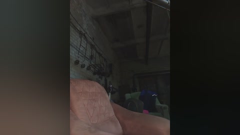 alla2221 free recording from 2024-10-30 01:56:00