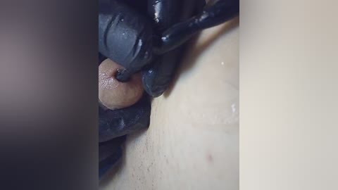 bipara69 free recording from 2024-10-30 23:02:00