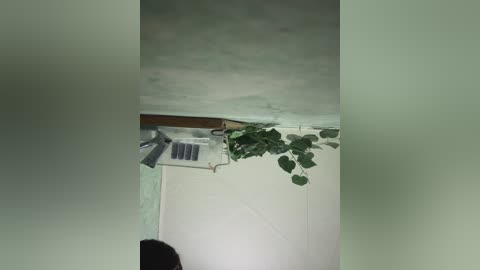 alex_369 free recording from 2024-10-31 04:28:00