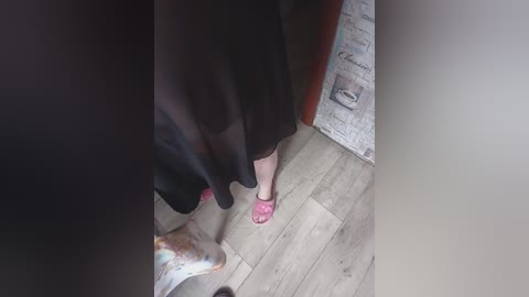 kiss7 free recording from 2024-10-31 10:54:00