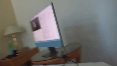 mr_and_mrs_smith_xxl free recording from 2024-10-31 08:56:00