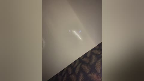 dvelaski1 free recording from 2026-04-15 01:09:00