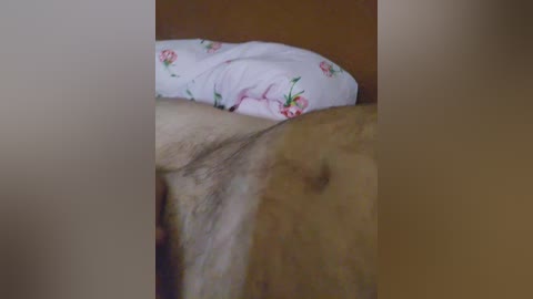 oksy3 free recording from 2024-11-01 11:11:00