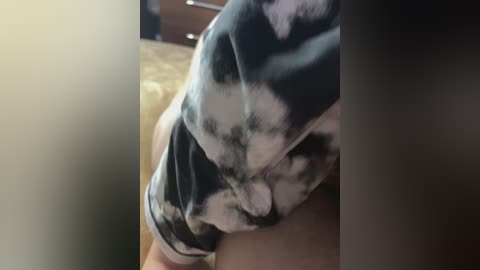 parochkaaa free recording from 2024-11-01 15:40:00