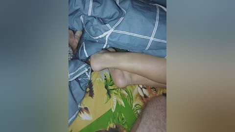 qwersad33 free recording from 2024-11-01 03:38:00