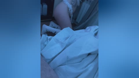 seritruh free recording from 2024-11-01 01:12:00