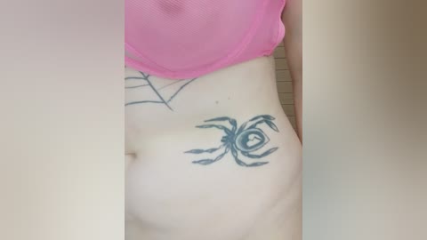 _alexis_ free recording from 2024-11-02 13:06:00