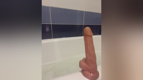 foxstar free recording from 2024-11-02 05:06:00