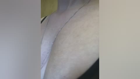 totodasha free recording from 2024-11-02 06:54:00