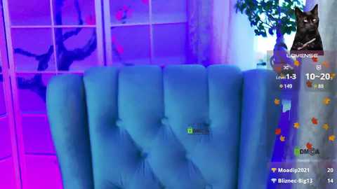 z__llllll__z free recording from 2024-11-02 09:02:00