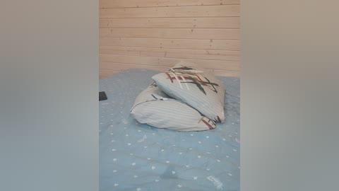 _alexis_ free recording from 2024-11-03 08:25:00