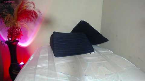 abbie_n_lucas free recording from 2024-11-03 09:24:00