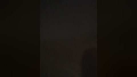 annalexxx free recording from 2024-11-03 04:37:00