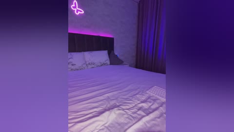 butttfly free recording from 2024-11-03 00:08:00