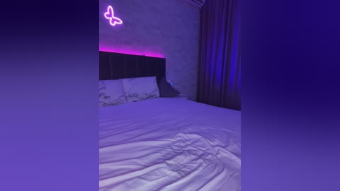 butttfly free recording from 2024-11-03 01:10:00