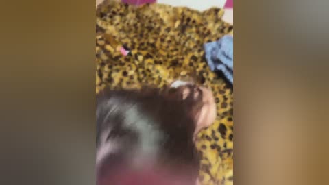 daddyndslut free recording from 2024-11-03 10:12:00