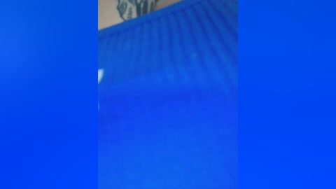 littledelora free recording from 2024-11-03 12:07:00