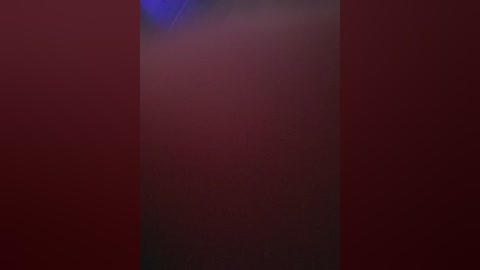 paratm free recording from 2026-04-21 00:00:00