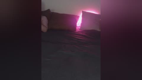 plohishi2 free recording from 2024-11-03 06:53:00