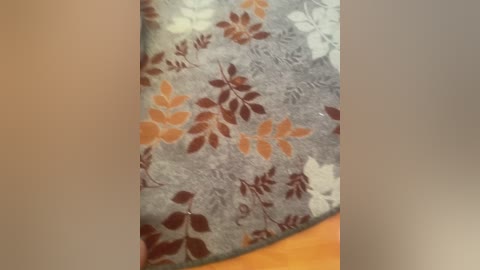 polyavova1 free recording from 2026-04-22 00:02:00