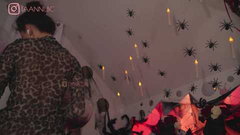 taanni free recording from 2024-11-03 00:03:00