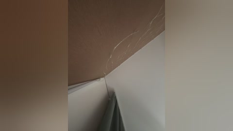 vagnermur free recording from 2024-11-03 16:37:00