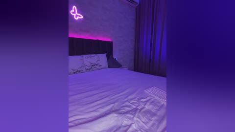 butttfly free recording from 2024-11-04 02:33:00